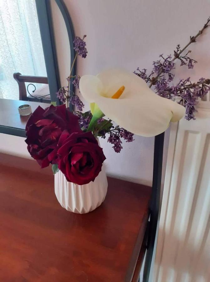 וולוס Old City Apartment מראה חיצוני תמונה