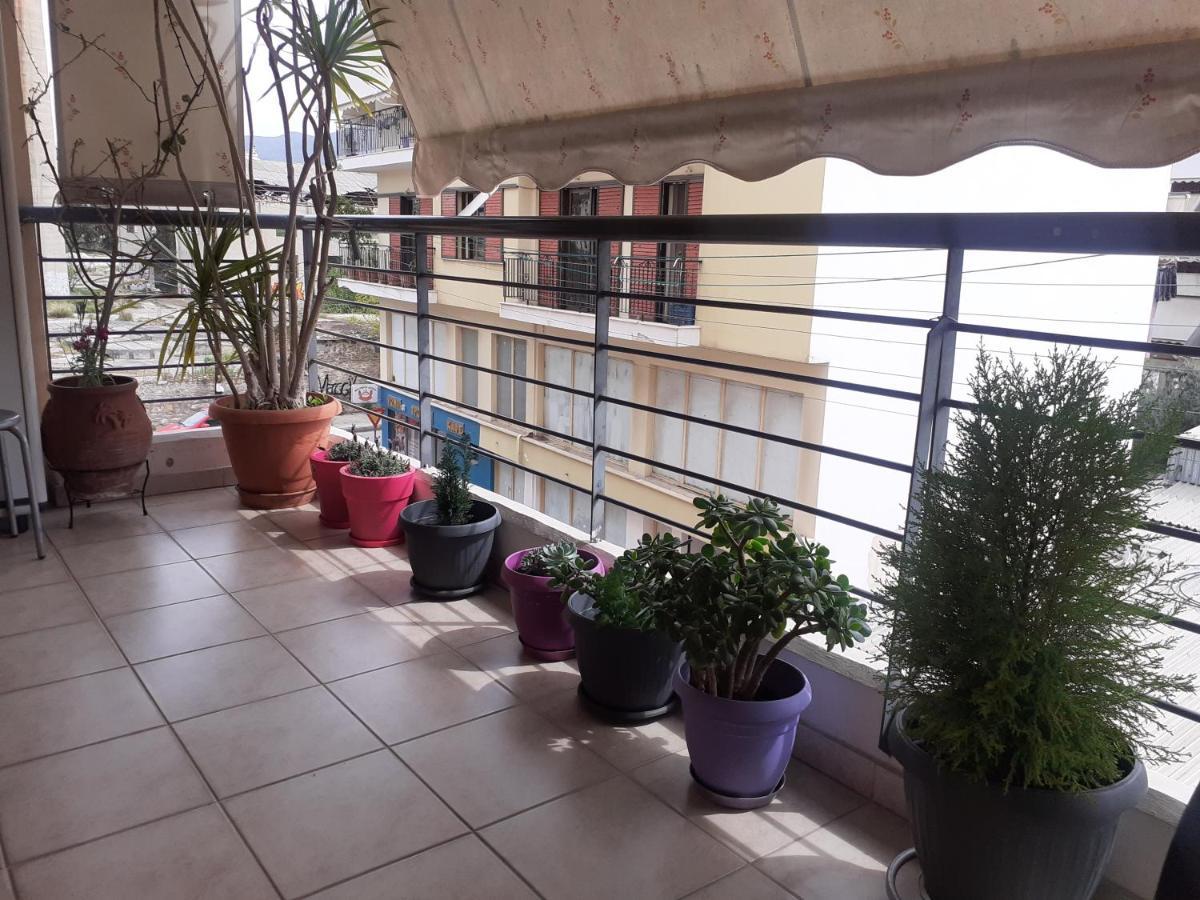 וולוס Old City Apartment מראה חיצוני תמונה